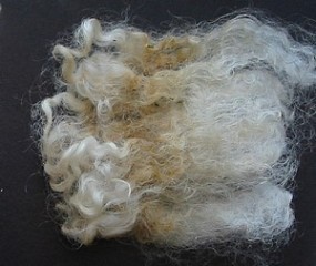 Luellen 2025 Fleece : Luellen 2025