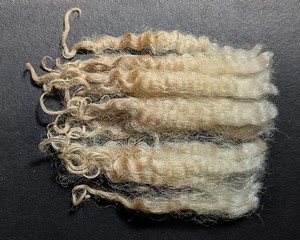 Pippa 2026 Fleece : Pippa 2026