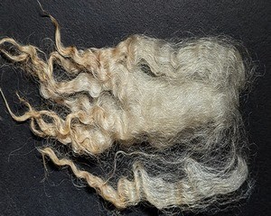 Sue 2026 Fleece : Sue 2026