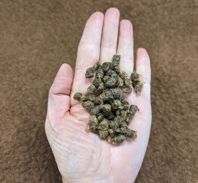 handful of wool pellets