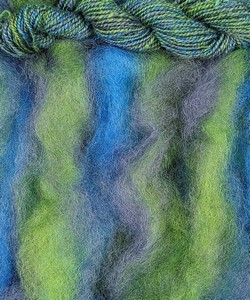 Roving : Delphinium
