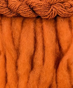 Pumpkin Pie Roving : Pumpkin Pie